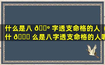 什么是八 🐺 字透支命格的人（什 🐒 么是八字透支命格的人呢）